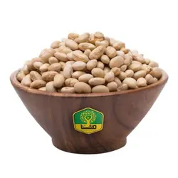 سویا آجیلی{500 گرم}