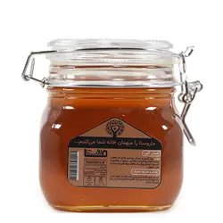 عسل گون طبیعی{900 گرم}