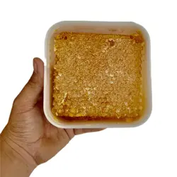 عسل زیرفون باموم جنگلی (یک کیلویی) | ارسال سریع و رایگان | عسل عصاره