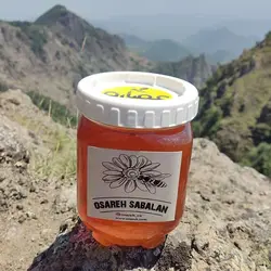 خرید عسل گون کوهستانی | ارسال سریع و رایگان