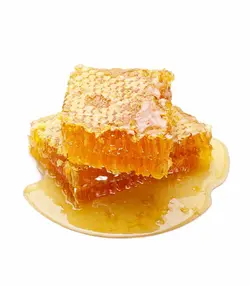 خرید عسل باموم طبیعی گون کوهستانی| ارسال رایگان و فوری