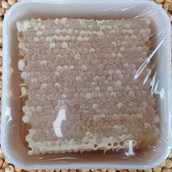 خرید عسل باموم طبیعی گون کوهستانی| ارسال رایگان و فوری