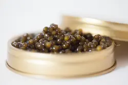 خاویار آسترا - ۱۰۰ گرمی | خاویار تلاژن