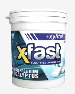 آدامس ایکس فست با طعم اکالیپتوس بدون قند 24گرمی