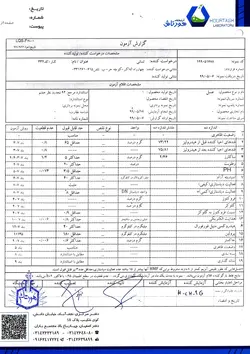 عسل ارگانیک کنار 600 گرمی رافونه