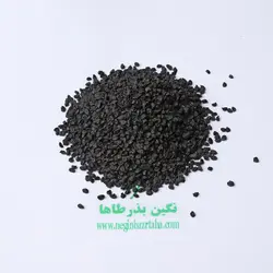 بذر پیاز زرد زرگان