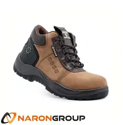 پوتین ایمنی BASE