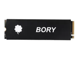 اس اس دی M.2 250G BORY استوک