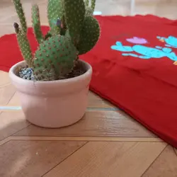 تیشرت طرح بادکنک