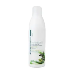 شامپو بازسازی کننده مو اویستر روغن زیتون 250ml
