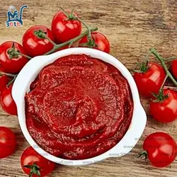 رب گوجه فرنگی روژین 400 گرم