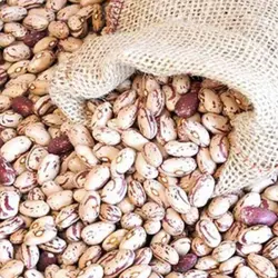 لوبیا چیتی برفود 900 گرم
