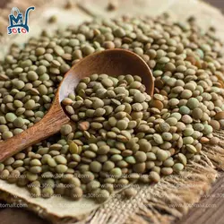 عدس همدل 900 گرم