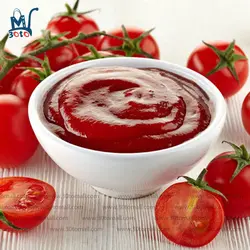 سس کچاپ کیمبال 325 گرم