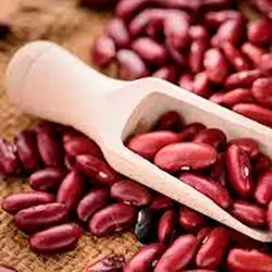لوبیا قرمز آرسیس 800 گرم