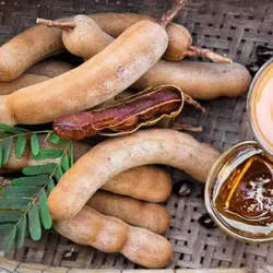 سس تمر هندی پالازی 485 گرم