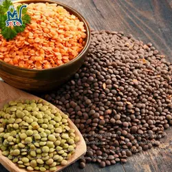 عدس فامیلا 900 گرم