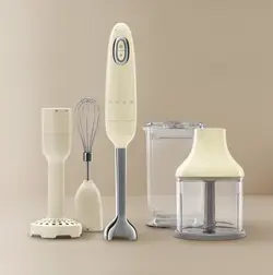 گوشتکوب برقی اسمگ BHF02