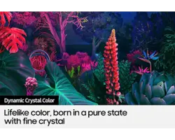 تلویزیون 65 سامسونگ BU8000