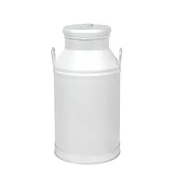 بیدون 100 لیتری