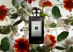 عطر ادکلن جو مالون جاسمین سامباک اند مریگلد | Jo Malone London Jasmine Sambac & Marigold - فروشگاه عطر و ادکلن عطرینه استور