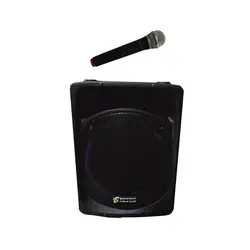 اکو همراه مینی ۱۲ اینچ برین صوت مدل بی سیم ۱۲۲۰۰