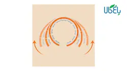 حلقه تناسب اندام هوشمند شیائومی Xiaomi FED Smart Fitness Hula Hoop