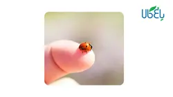 گوشی سامسونگ Galaxy A51 با ظرفیت 128/4GB دو سیم کارت