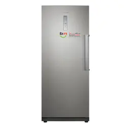 یخچال دو قلو 40 فوت سامسونگ مدل RR35-RZ28 | فروشگاه بانه نما | یخچال RR35-RZ28