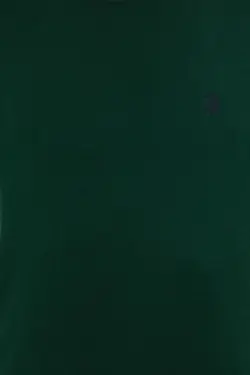 خرید پلیور یقه گرد مردانه یو اس پولو کد 170916 | بانی استایل