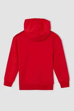 خرید سویشرت پسرانه دفکتو کد 153748 | بانی استایل