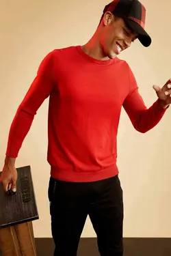 خرید پلیور یقه گرد مردانه دفکتو کد 148018 | بانی استایل
