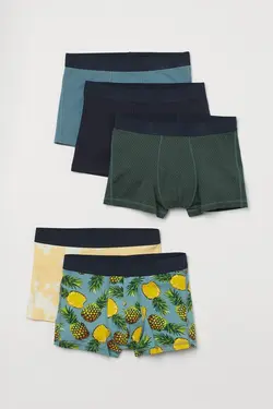 خرید شورت باکسر مردانه بسته 5 عددی اچ اند ام کد 124316 | بانی استایل