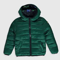 خرید کاپشن پفی دو رو پسرانه ال سی وایکیکی کد 46568 | بانی استایل