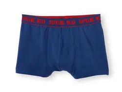 خرید شورت نخی باکسر مردانه بسته 2 عددی - لیورجی 3736 اصل | فروشگاه اینترنتی بانی استایل