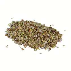 گشنیز لپه سورت شده