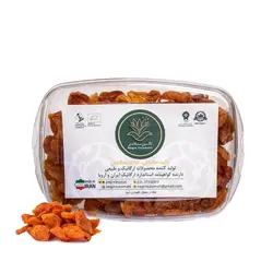 برگه زردآلو ارگانیک نگین سلامتی