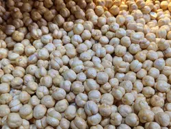 نخودچی بوداده (بی نمک)