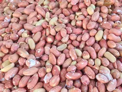 بادام زمینی آستانه با پوست (شور)