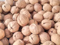 گردو تویسرکان پوست پیازی