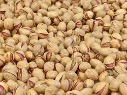 پسته کله قوچی (شور)
