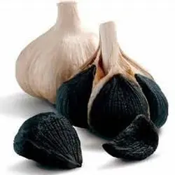 سیر سیاه (طلای سیاه)