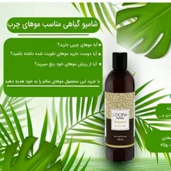 شامپو گیاهی مخصوص موی چرب لدورا هربال 300 میل