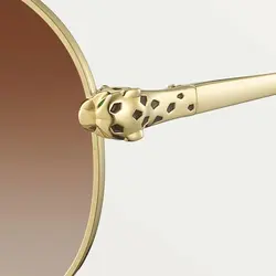 عینک آفتابی مردانه کارتیر کد 15