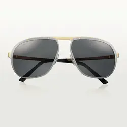 عینک آفتابی مردانه کارتیر کد 14