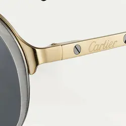 عینک آفتابی مردانه کارتیر کد 14