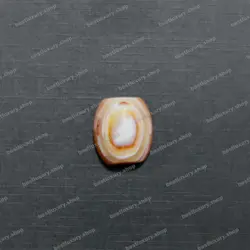 مهره سلیمانی موکل دار  کد 004