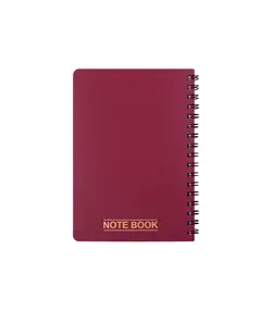 دفتر یادداشت مات 60 برگ پاپکو کد NB-621