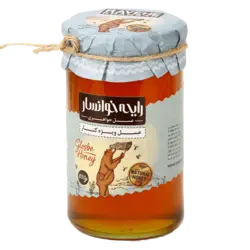 مشخصات، قیمت و خرید عسل کنار ۸۵۰ گرمی رایحه | بایروز