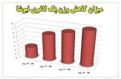 پک لاغری نیوشا 20 روزه کاهش وزن با دمنوش